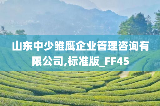 山东中少雏鹰企业管理咨询有限公司,标准版_FF45