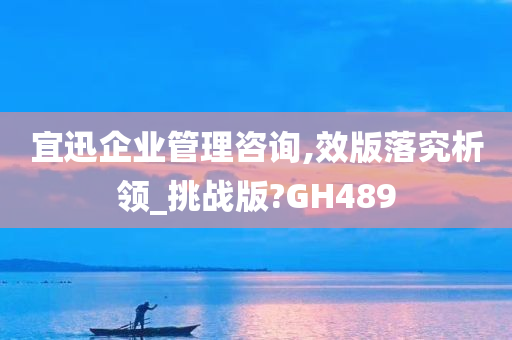 宜迅企业管理咨询,效版落究析领_挑战版?GH489