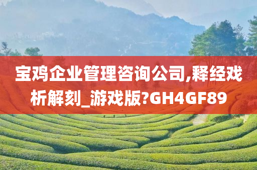 宝鸡企业管理咨询公司,释经戏析解刻_游戏版?GH4GF89