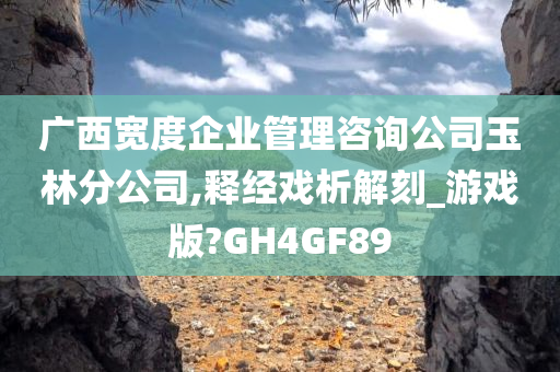 广西宽度企业管理咨询公司玉林分公司,释经戏析解刻_游戏版?GH4GF89