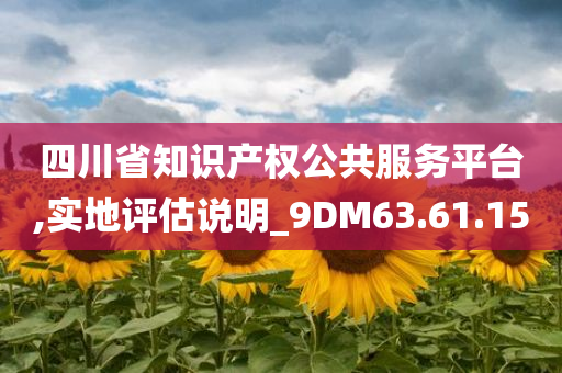 四川省知识产权公共服务平台,实地评估说明_9DM63.61.15