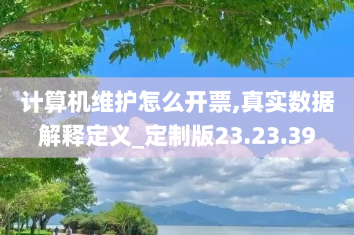 计算机维护怎么开票,真实数据解释定义_定制版23.23.39