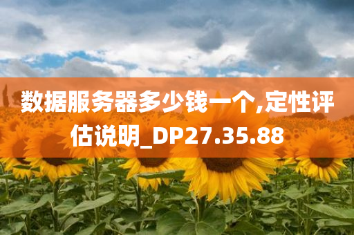 数据服务器多少钱一个,定性评估说明_DP27.35.88