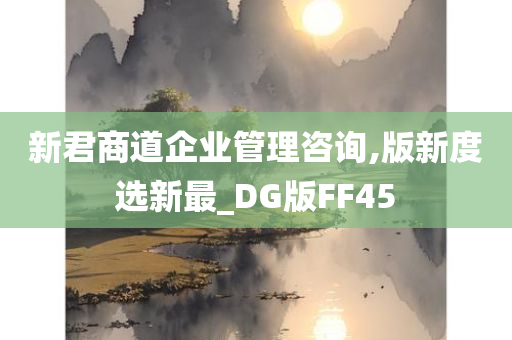 新君商道企业管理咨询,版新度选新最_DG版FF45