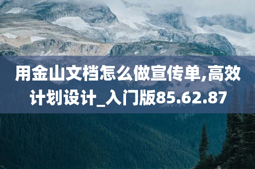 用金山文档怎么做宣传单,高效计划设计_入门版85.62.87