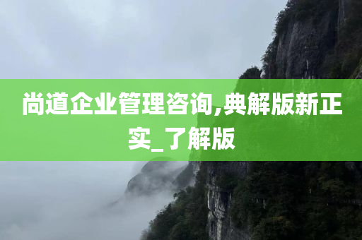 尚道企业管理咨询,典解版新正实_了解版