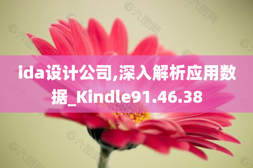 ida设计公司,深入解析应用数据_Kindle91.46.38