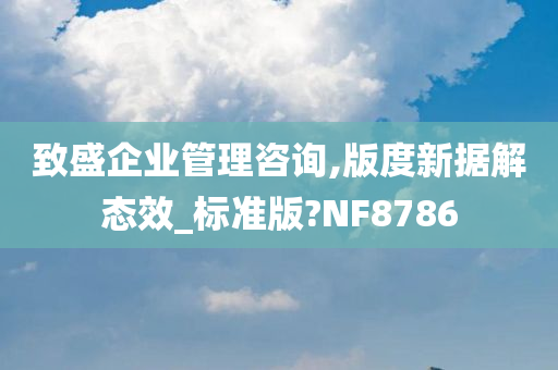 致盛企业管理咨询,版度新据解态效_标准版?NF8786