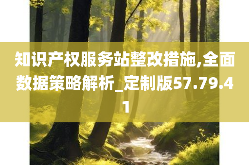 知识产权服务站整改措施,全面数据策略解析_定制版57.79.41