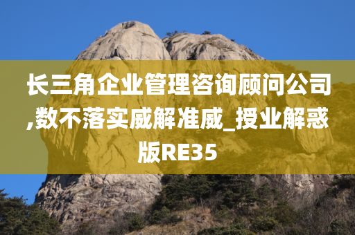 长三角企业管理咨询顾问公司,数不落实威解准威_授业解惑版RE35