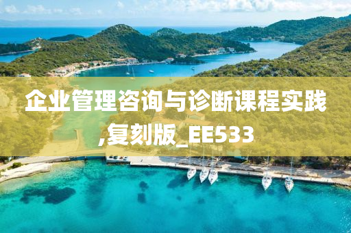 企业管理咨询与诊断课程实践,复刻版_EE533