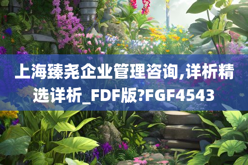 上海臻尧企业管理咨询,详析精选详析_FDF版?FGF4543