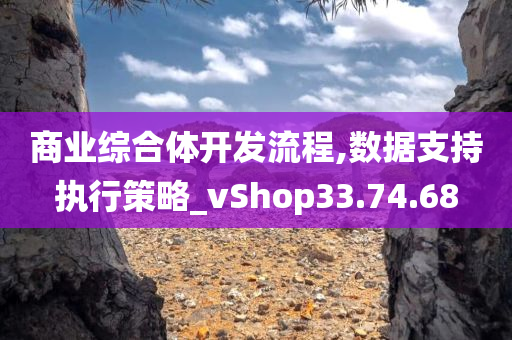 商业综合体开发流程,数据支持执行策略_vShop33.74.68