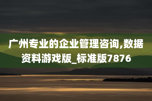 广州专业的企业管理咨询,数据资料游戏版_标准版7876