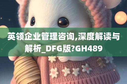 英领企业管理咨询,深度解读与解析_DFG版?GH489