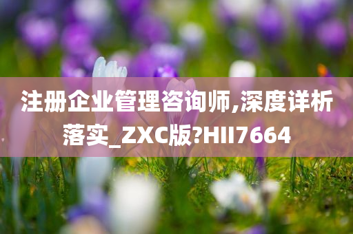 注册企业管理咨询师,深度详析落实_ZXC版?HII7664