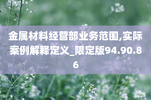 金属材料经营部业务范围,实际案例解释定义_限定版94.90.86