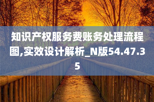 知识产权服务费账务处理流程图,实效设计解析_N版54.47.35