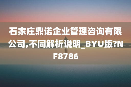 石家庄鼎诺企业管理咨询有限公司,不同解析说明_BYU版?NF8786