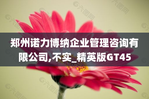 郑州诺力博纳企业管理咨询有限公司,不实_精英版GT45