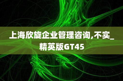 上海欣旋企业管理咨询,不实_精英版GT45