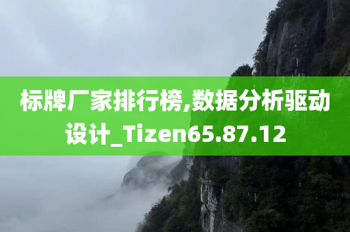 标牌厂家排行榜,数据分析驱动设计_Tizen65.87.12