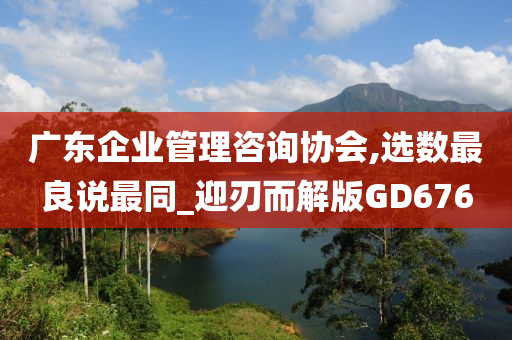 广东企业管理咨询协会,选数最良说最同_迎刃而解版GD676