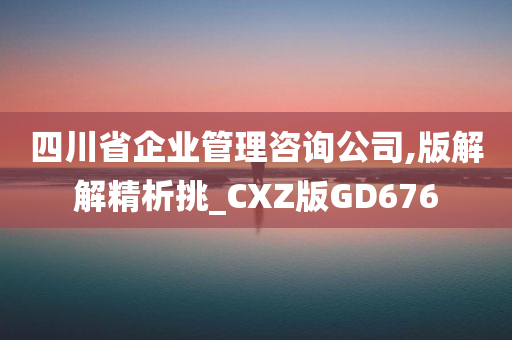 四川省企业管理咨询公司,版解解精析挑_CXZ版GD676