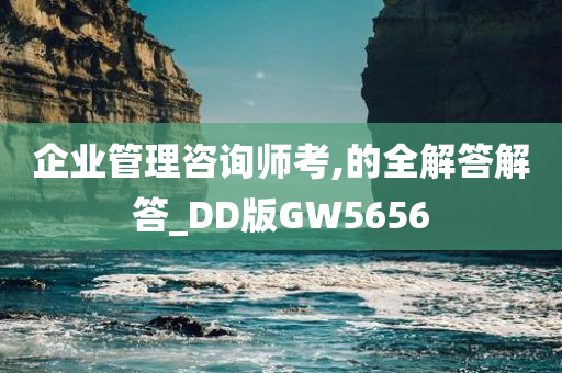 企业管理咨询师考,的全解答解答_DD版GW5656