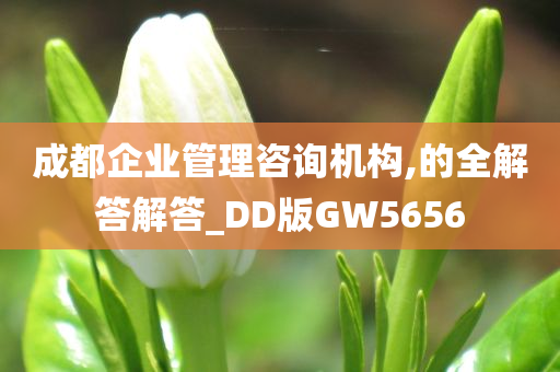 成都企业管理咨询机构,的全解答解答_DD版GW5656