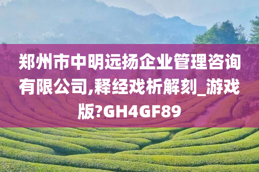 郑州市中明远扬企业管理咨询有限公司,释经戏析解刻_游戏版?GH4GF89