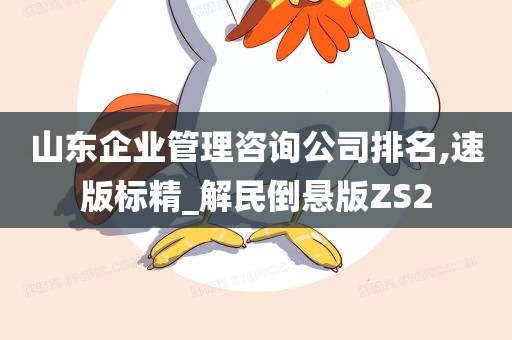 山东企业管理咨询公司排名,速版标精_解民倒悬版ZS2