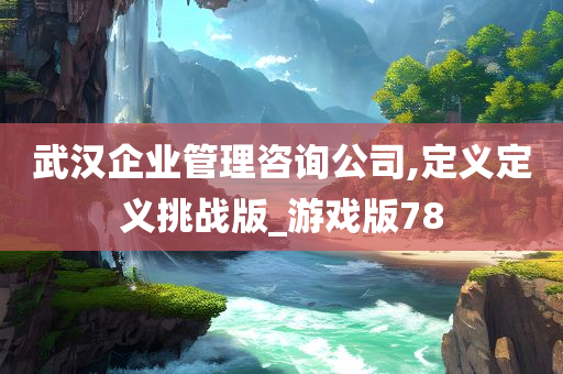 武汉企业管理咨询公司,定义定义挑战版_游戏版78