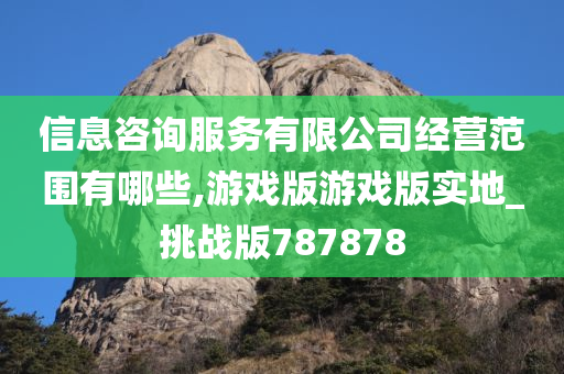 信息咨询服务有限公司经营范围有哪些,游戏版游戏版实地_挑战版787878