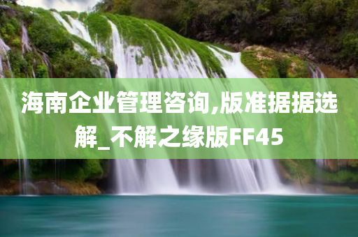 海南企业管理咨询,版准据据选解_不解之缘版FF45