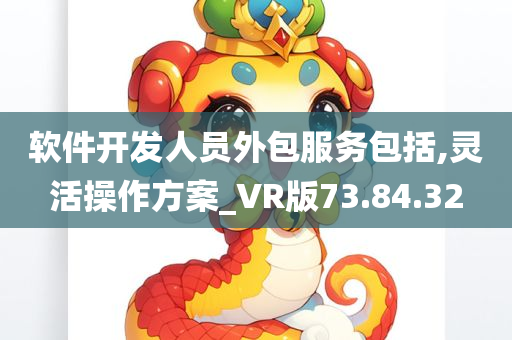 软件开发人员外包服务包括,灵活操作方案_VR版73.84.32