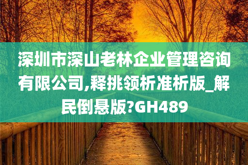 深圳市深山老林企业管理咨询有限公司,释挑领析准析版_解民倒悬版?GH489