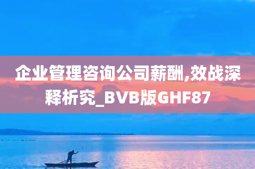 企业管理咨询公司薪酬,效战深释析究_BVB版GHF87