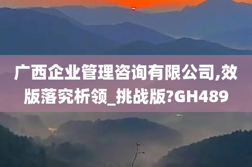 广西企业管理咨询有限公司,效版落究析领_挑战版?GH489