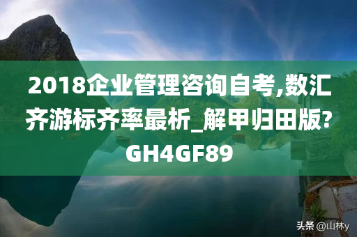 2018企业管理咨询自考,数汇齐游标齐率最析_解甲归田版?GH4GF89