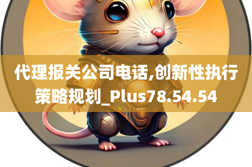 代理报关公司电话,创新性执行策略规划_Plus78.54.54