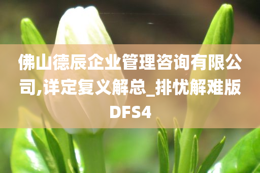 佛山德辰企业管理咨询有限公司,详定复义解总_排忧解难版DFS4