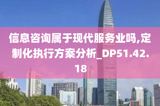 信息咨询属于现代服务业吗,定制化执行方案分析_DP51.42.18