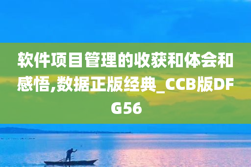 软件项目管理的收获和体会和感悟,数据正版经典_CCB版DFG56