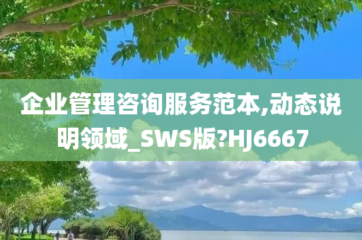 企业管理咨询服务范本,动态说明领域_SWS版?HJ6667