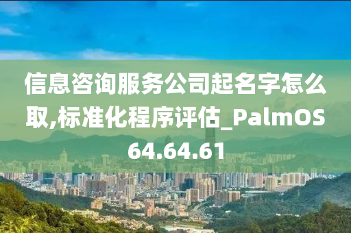 信息咨询服务公司起名字怎么取,标准化程序评估_PalmOS64.64.61