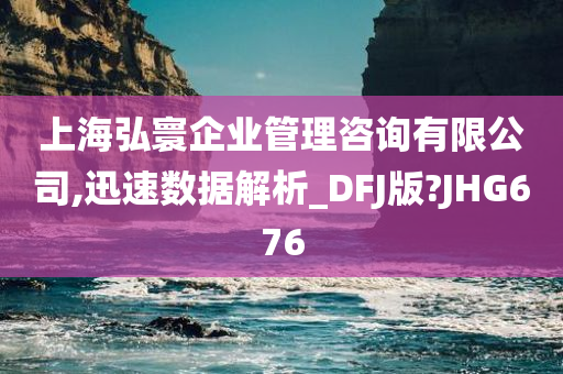 上海弘寰企业管理咨询有限公司,迅速数据解析_DFJ版?JHG676