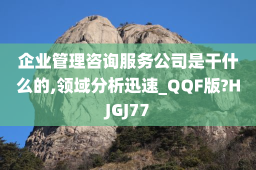 企业管理咨询服务公司是干什么的,领域分析迅速_QQF版?HJGJ77