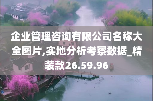 企业管理咨询有限公司名称大全图片,实地分析考察数据_精装款26.59.96