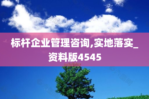 标杆企业管理咨询,实地落实_资料版4545